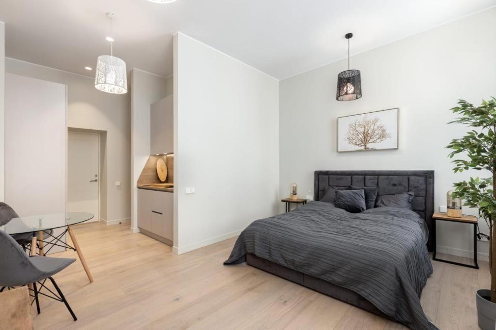 Kalnina Street Studio Apartment Riga Dış mekan fotoğraf