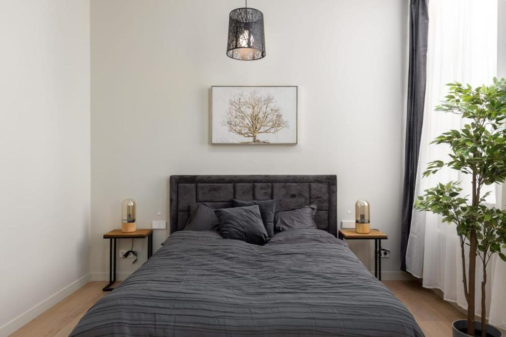 Kalnina Street Studio Apartment Riga Dış mekan fotoğraf