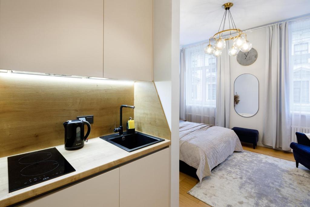 Kalnina Street Studio Apartment Riga Dış mekan fotoğraf